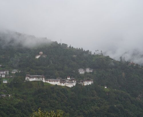 WhatsApp Image 2024-09-27 at 4.10.28 PM (1)