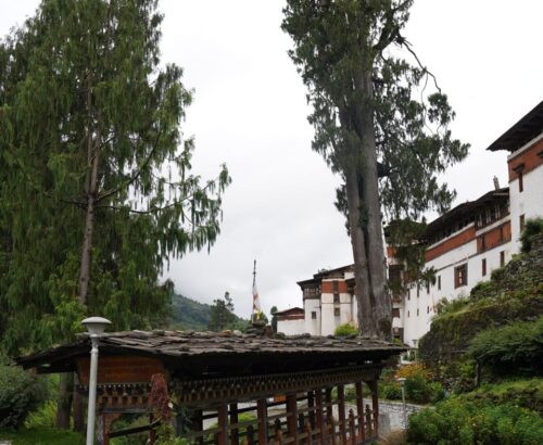 WhatsApp Image 2024-09-27 at 4.10.34 PM