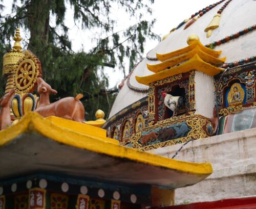 WhatsApp Image 2024-09-28 at 11.00.39 PM (1)