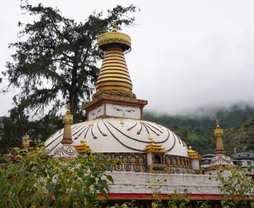 WhatsApp Image 2024-09-28 at 11.00.40 PM