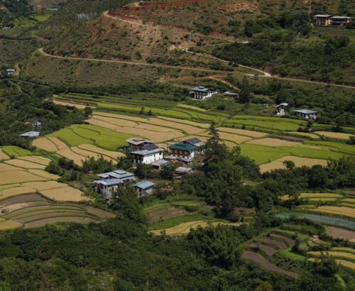 WhatsApp Image 2024-09-30 at 9.07.26 PM