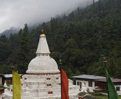 WhatsApp Image 2024-09-30 at 9.14.09 PM