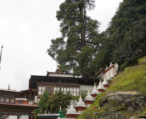 WhatsApp Image 2024-09-30 at 9.14.12 PM (1)