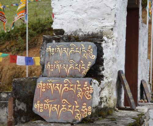 WhatsApp Image 2024-10-02 at 1.29.51 PM